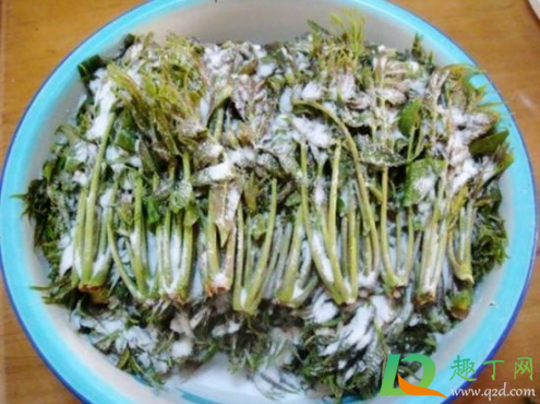腌香椿放多少盐好3