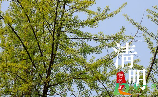清明节上坟是在碑前烧纸还是碑后烧纸3