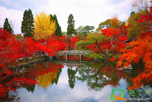 2020国庆节旅游也要预约吗3