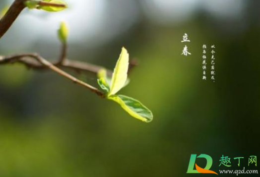 2021年躲春怎么躲3