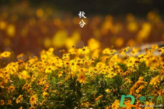 2020秋分过后还会热吗3
