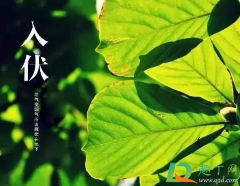 2021年几月几号入伏到几号结束3