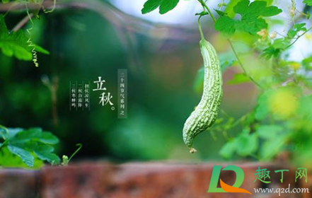 2021立秋以后天气会转凉吗3
