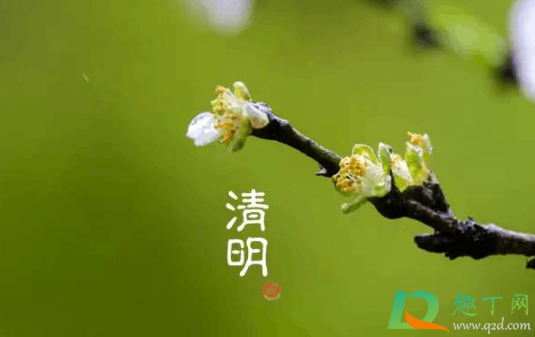 2021年清明节前三天交运是哪天3