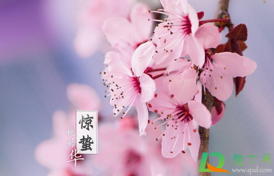 惊蛰会经常打雷下雨吗3