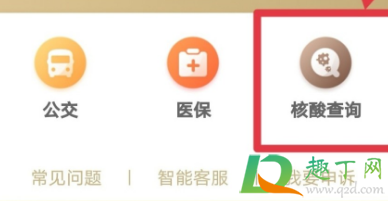 怎么在家看核酸结果4