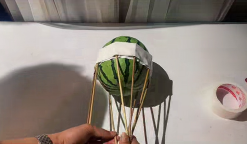西瓜花束怎么包20214