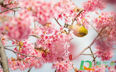 2021年春分是几九4