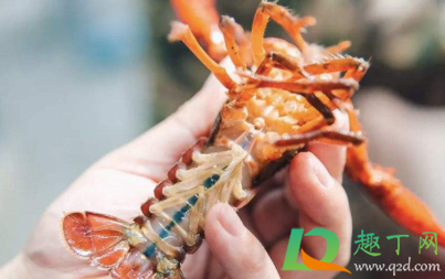 小龙虾怎么清洗寄生虫4