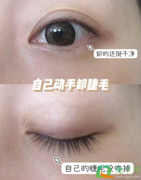 种睫毛不想要了自己怎么弄掉4