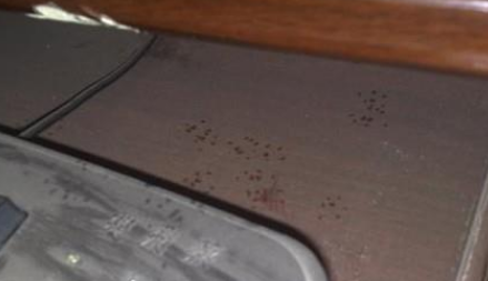 怎么避免老鼠上你床上6