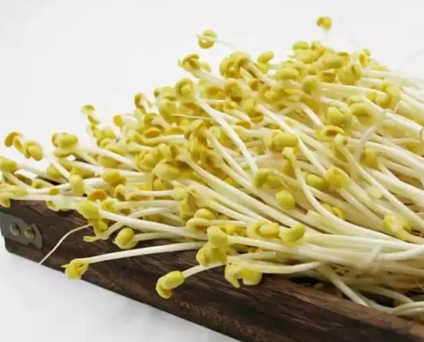 羊肉是高尿酸的发物吗？医生：不想肾走“下坡路”，少吃这5物