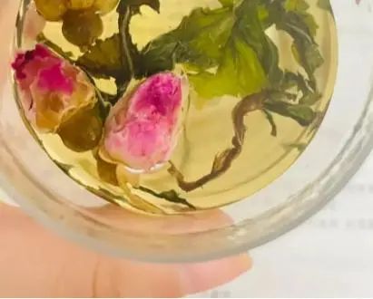 玫瑰花有“搭档”，搭配4物一起泡水喝，好处或能翻倍，不妨一试