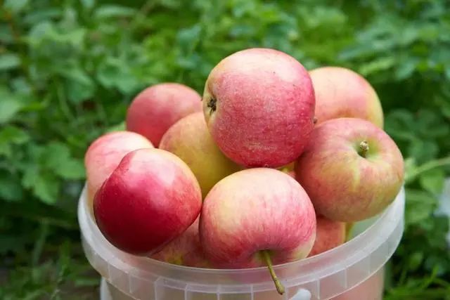 减肥不能碰“花生”吗？提醒：若不想腰上长赘肉，忌6物，吃4果