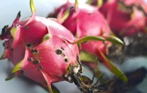 减肥不能碰“花生”吗？提醒：若不想腰上长赘肉，忌6物，吃4果