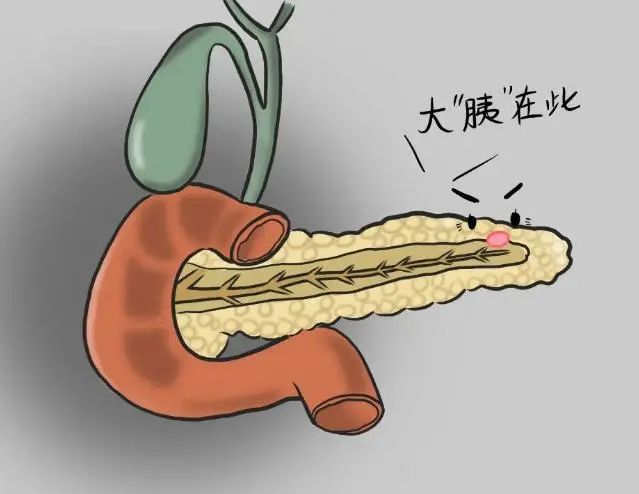 保护胰腺，就是守住生命线，医生：保护胰腺，要从这几件小事做起