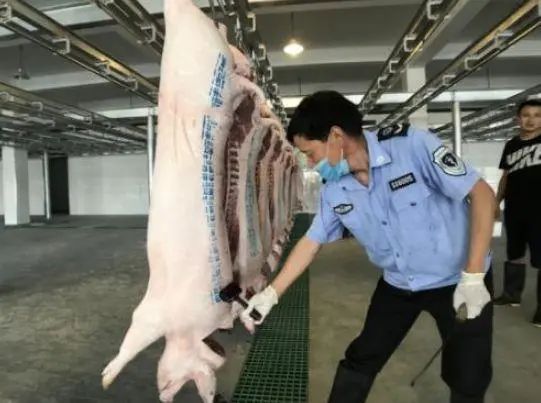 猪肉上面都有盖章，“红章”与“蓝章”有啥区别？看完别再乱买了