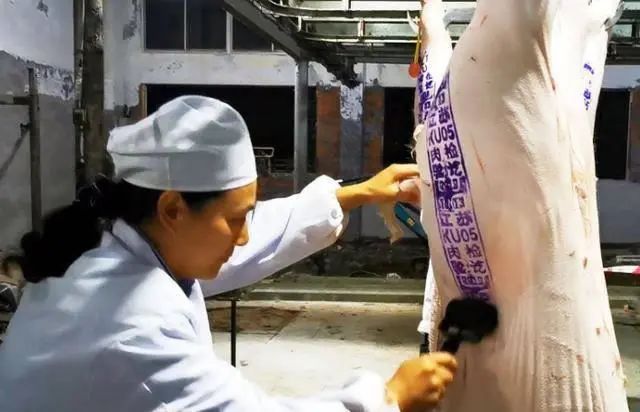 猪肉上面都有盖章，“红章”与“蓝章”有啥区别？看完别再乱买了