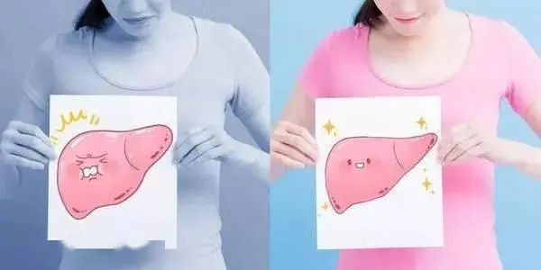 4种食物是肝脏“修复剂”，肝不好的人多吃点，肝脏或会更健康
