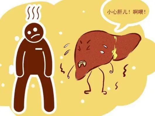 4种食物是肝脏“修复剂”，肝不好的人多吃点，肝脏或会更健康