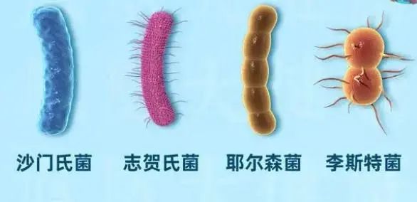 这7种“吃剩”的食物，宁愿丢掉也不能放冰箱，看完务请转给父母
