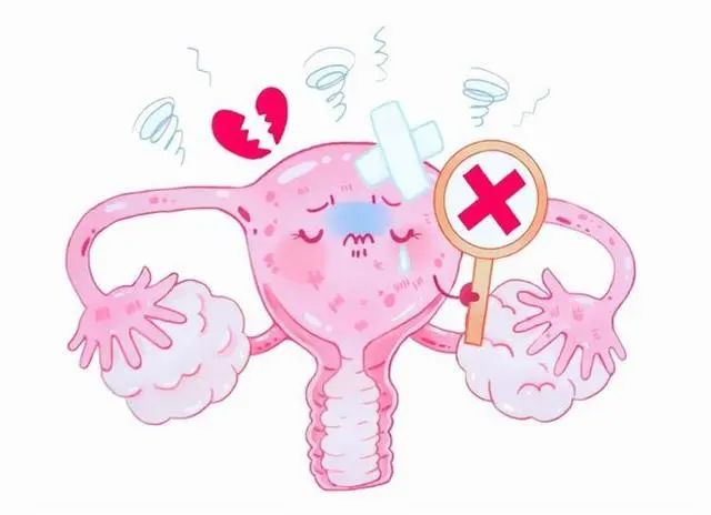 医生提醒：子宫“不欢迎”4种水果，女士要少吃，常吃这4物能暖宫