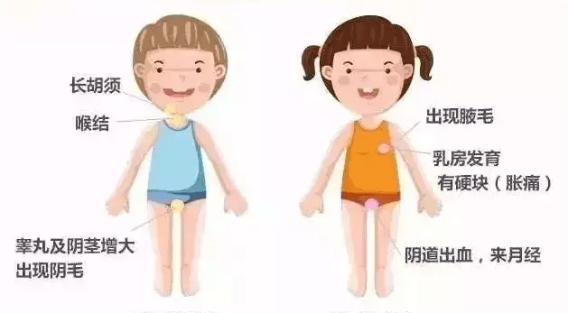 这些行为，真不会“催熟”孩子！性早熟的真正原因是这3个