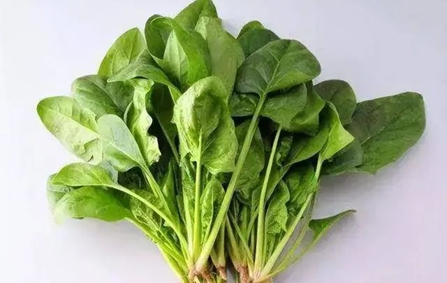 高尿酸能吃西红柿吗？忌口6种食物，帮助稳定尿酸，痛风不敢靠近