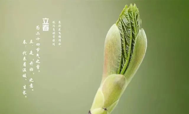 立春将至，5种人要“躲春”，别忘做三事忌三事，为一年开个好头