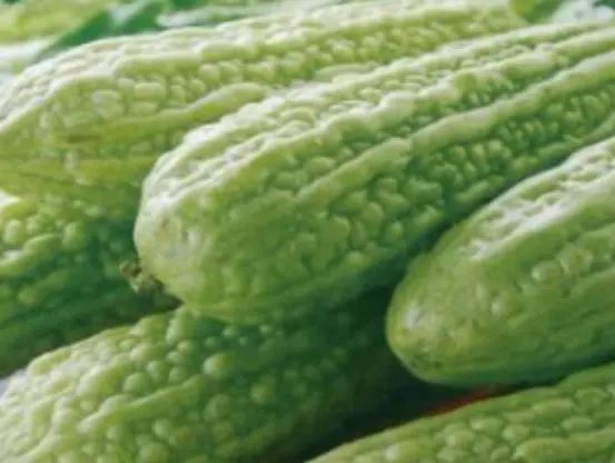 常吃苦瓜，好处或“不请自来”！但要牢记5个禁忌，别再犯错