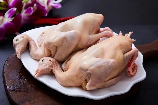 俗话“一鸽胜九鸡”，常吃鸽子肉有哪些好处？5类人需谨慎食用