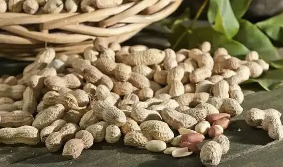 花生是骨质疏松的“发物”？医生：想要骨头好，可多吃这5物
