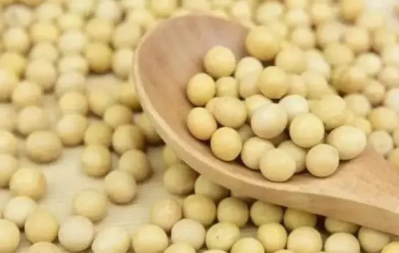 花生是骨质疏松的“发物”？医生：想要骨头好，可多吃这5物