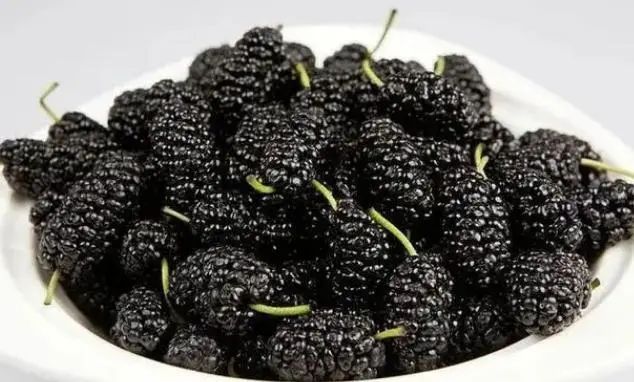 “癌症”害怕7种“碱性食物”？建议每天吃点，或对身体健康有利
