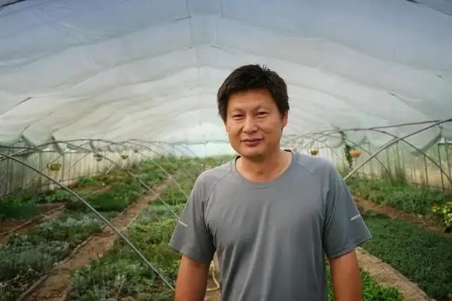 43岁大哥，因常吃一“零嘴”，尿酸慢慢正常，医生：方法值得学习