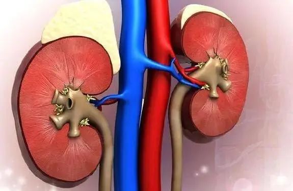 苦瓜可以降尿酸吗？医生：这6物才是降尿酸“高手”，建议吃一些