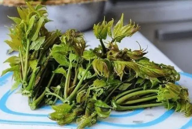 若想稳定血脂，这3种蔬菜尽量少吃，不妨来了解