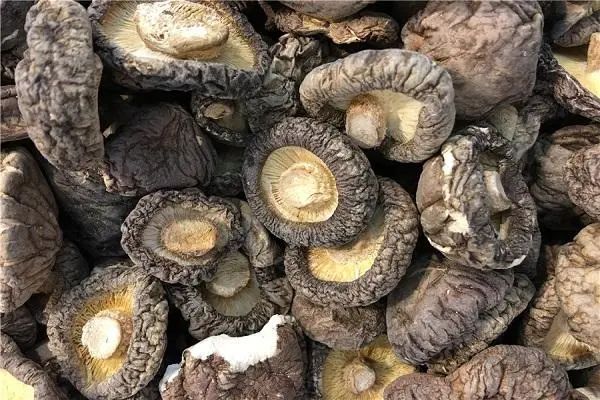 癌细胞已扩散，但患者胃口好，体重也增加了，这种现象是好是坏？