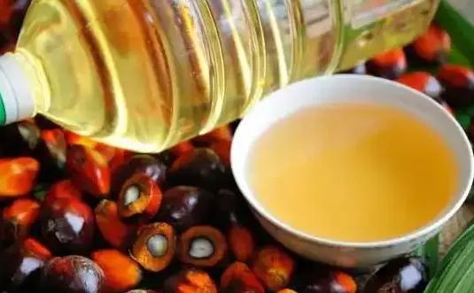花生油、菜籽油、玉米油，哪种油健康？医生：这2种油或要少吃