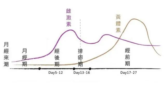 子宫好的女人，来月经时或许有5个特征，若你符合，那就恭喜你了