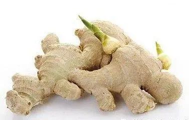 生姜发芽后有毒吗？医生提醒：这4种食物发芽后，不能吃