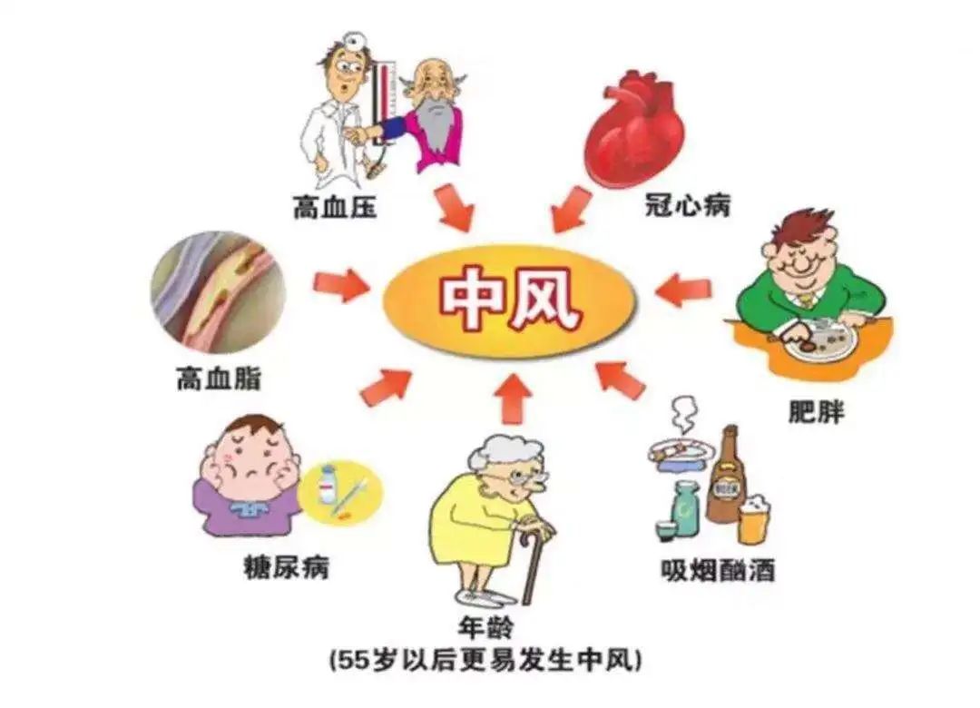 什么是脑溢血！脑溢血来临前，身体有哪些异常？望知晓