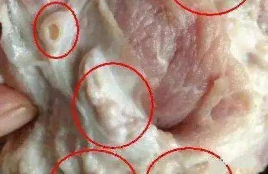 猪身上的7个部位，医生建议少吃，大肠排最后，榜首很多人爱吃