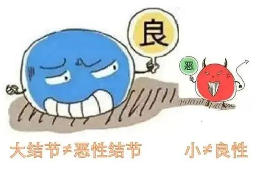 白萝卜是结节“加速器”？消化科医生：不想结节癌变，或少吃4物