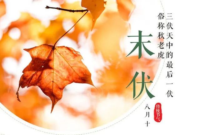 明日末伏，记得吃5种“黄金”食物，养护脾胃身体好，平安入秋