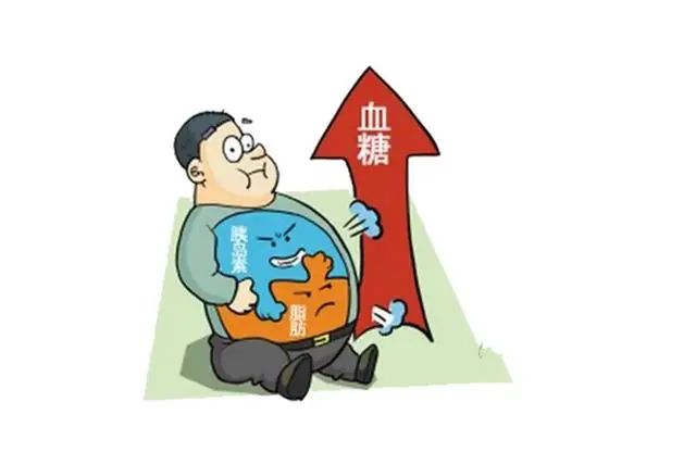 血糖血脂高该怎么吃？遵循6个饮食原则，是保护身体的关键