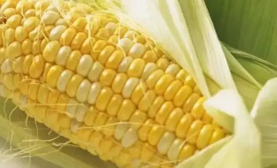 多走路可以降血脂吗？医生：多吃5种食物，或比走路效果更好