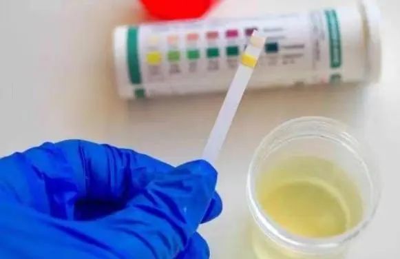 苦瓜能降尿酸吗？医生：这6种食物才是降尿酸能手，平时不妨多吃