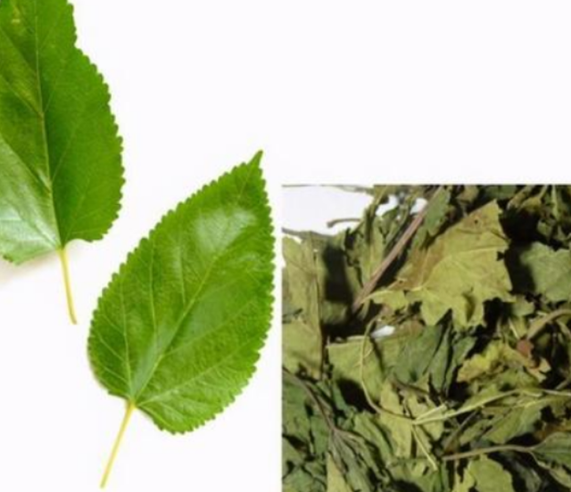 苦瓜能降尿酸吗？医生：这6种食物才是降尿酸能手，平时不妨多吃