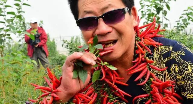 长期吃辣椒和从来不吃辣椒的人相比，谁的身体更好？早了解早好
